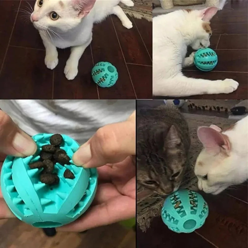 Interactive Rubber Treat Ball